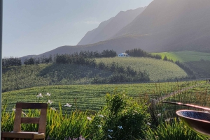 Ruta del Vino de Lujo