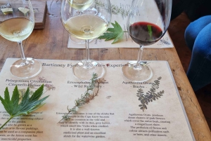 Ruta del Vino de Lujo