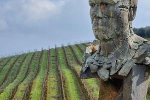 Ruta del Vino de Lujo