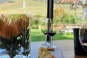 Ruta del Vino de Lujo