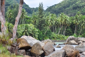 Mahe Island: Private Mahe Full Day Island Tour