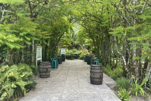 Mahe Island: Private Mahe Full Day Island Tour