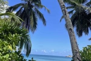 Mahe Island: Private Mahe Full Day Island Tour