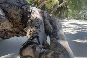 Mahe Island: Private Mahe Full Day Island Tour
