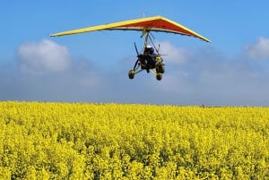 Microlight introduction flight Cape town