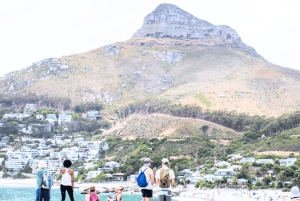 Wycieczka piesza od gór do morza, Kapsztad