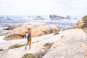 Wycieczka piesza od gór do morza, Kapsztad