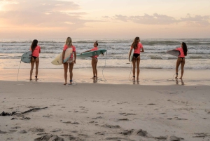 Muizenberg Cape Town : Leçon de surf privée