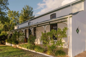 Paarl: Degustazione di vini Dekkersvlei