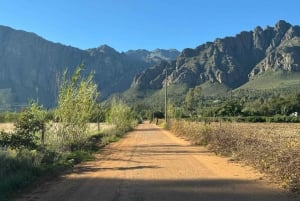 Paarl: Degustazione di vini Dekkersvlei