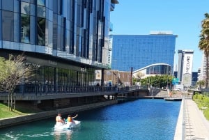 Promenade en pédalo au V&A Waterfront - Le Cap