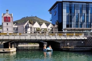 Promenade en pédalo au V&A Waterfront - Le Cap