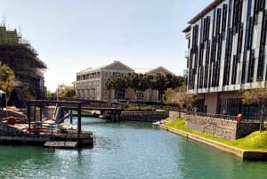 Promenade en pédalo au V&A Waterfront - Le Cap