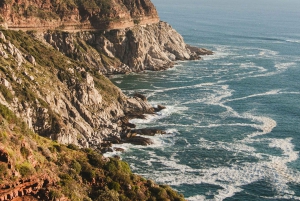 Penguin Half-Day Tour With Ticket Included (Join a Group)