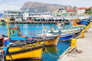 Excursión por la Península: Día Completo Punta del Cabo y Playa de los Pingüinos
