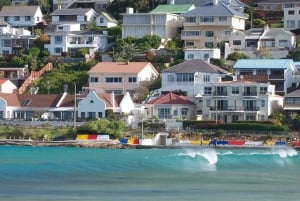 Tur til halvøya: Heldagstur til Cape Point og Penguin Beach