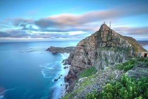 Excursion dans la péninsule : Journée complète à Cape Point et Penguin Beach