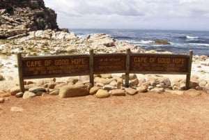 Peninsula Tour: Full Day Cape Point and Penguin Beach