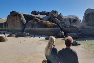 Piquenique com pinguins: Uma viagem sob medida para Boulders Beach