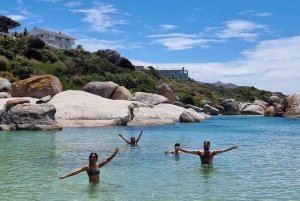 Picnic with Penguins: A Tailored Journey to Boulders Beach