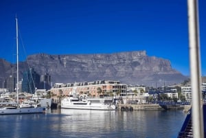 Forudbestilt: Robben Island, Bo-kaap & Taffelbjerget-tur