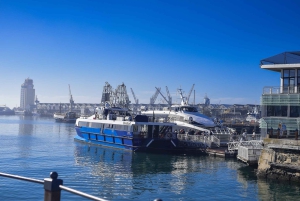 Forudbestilt: Robben Island, Bo-kaap & Taffelbjerget-tur
