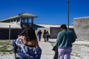 Forudbestilt: Robben Island, Bo-kaap & Taffelbjerget-tur