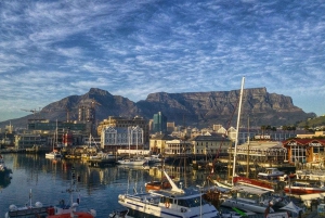 Fra Cape Town: Heldagstur til Robben Island og Table Mountain