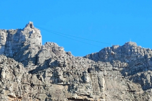 Fra Cape Town: Heldagstur til Robben Island og Table Mountain