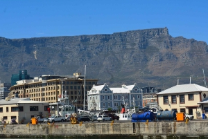 Forudbestilt billet til Robben Island Halvdagstur fra Cape Town