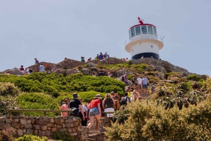 Le Cap : billet pré-réservé pour le cap de Bonne-Espérance et Cape Point