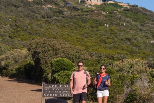 Le Cap : billet pré-réservé pour le cap de Bonne-Espérance et Cape Point