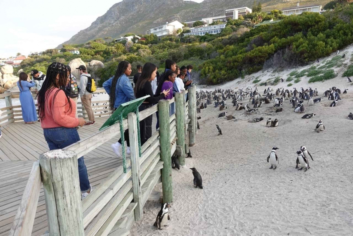 Tour privado de un día del Cabo de Buena Esperanza y los Pingüinos