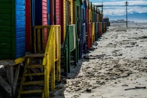 Private Cape of Good Hope Guided Tour