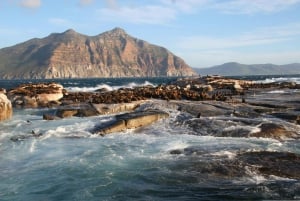 Private Cape of Good Hope Guided Tour