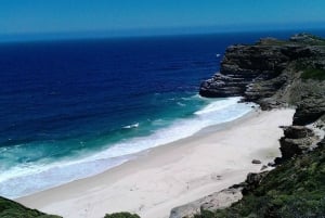 Private Cape of Good Hope Guided Tour