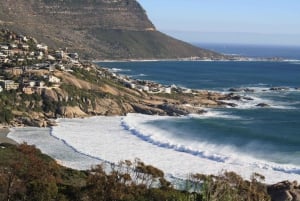 Private Cape of Good Hope Guided Tour