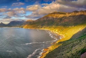 Private Cape of Good Hope Guided Tour