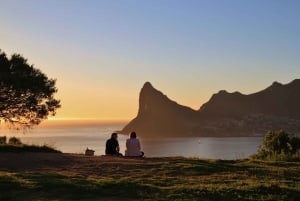 Private Cape of Good Hope Guided Tour