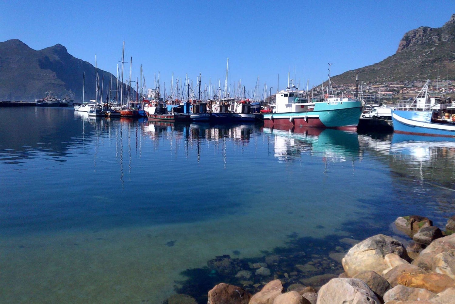 Visita guiada privada Península del Cabo + Jardín de Kirstenbosch