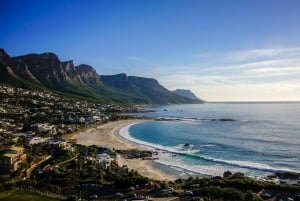 Visita guiada privada Península del Cabo + Jardín de Kirstenbosch