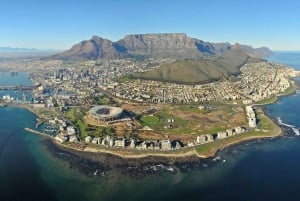 Visita guiada privada Península del Cabo + Jardín de Kirstenbosch