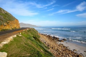 Visita guiada privada Península del Cabo + Jardín de Kirstenbosch