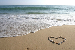 Visita guiada privada Península del Cabo + Jardín de Kirstenbosch