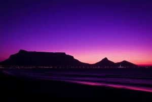 Visita guiada privada Península del Cabo + Jardín de Kirstenbosch