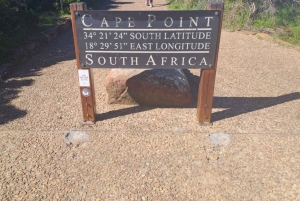Excursão particular à Península do Cabo, incluindo pinguins