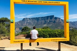 Visite privée de la ville du Cap et de la montagne de la Table
