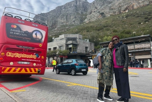 Privat byrundvisning i Cape Town og Taffelbjerget