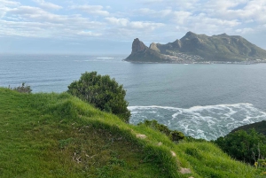 Privat byrundvisning i Cape Town og Taffelbjerget