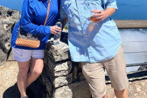 Privat byrundvisning i Cape Town og Taffelbjerget